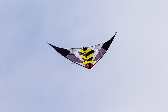 _55B0221