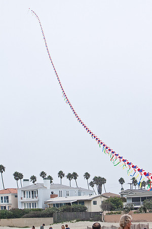 _MG_2785