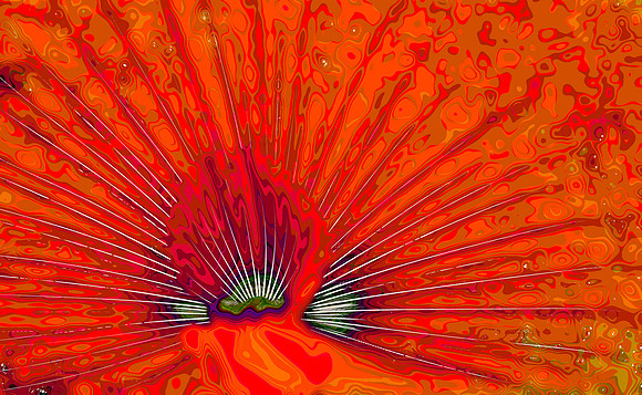 Fire Within