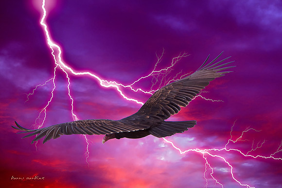 night flight