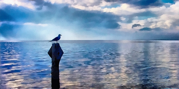 salton sea