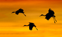 sandhills02