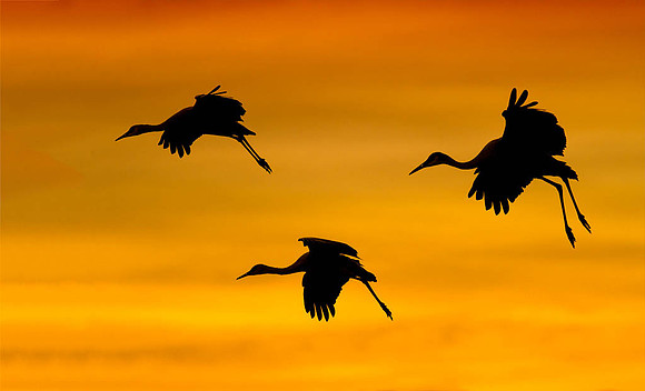 sandhills02