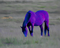 of a different color