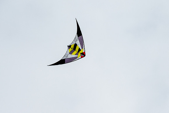 _55B0207