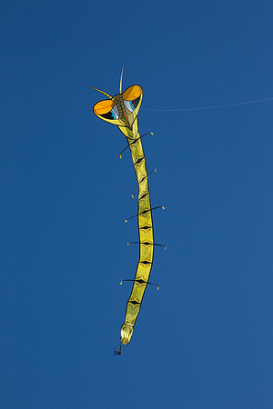 Gibian Caterpillar