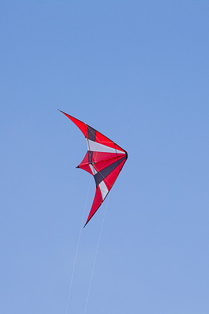 _55B0317