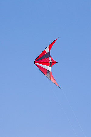 _55B0316
