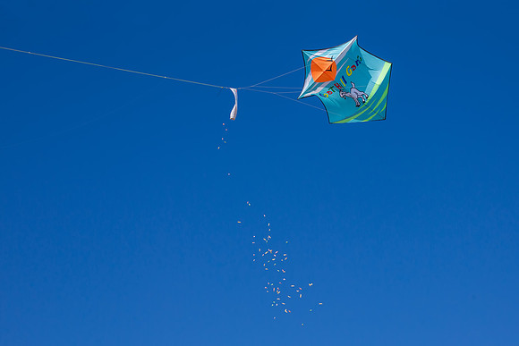 Candy Drop