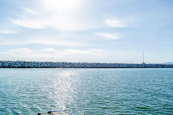 image102