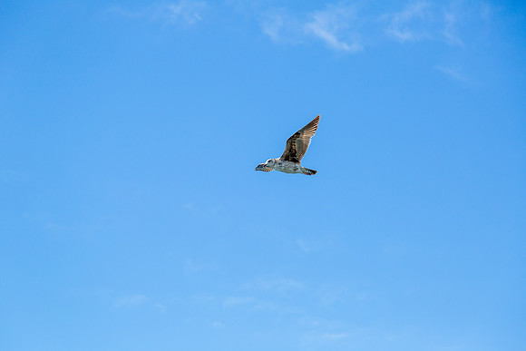 image058