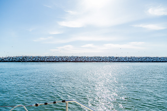 image101