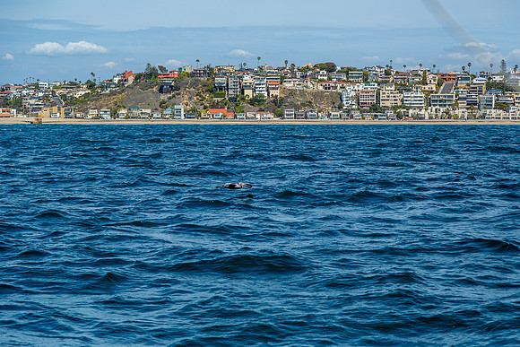image061