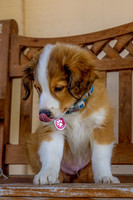 _95A6261-Edit