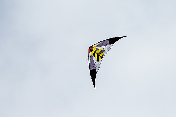 _55B0206