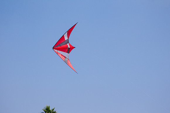_55B0332