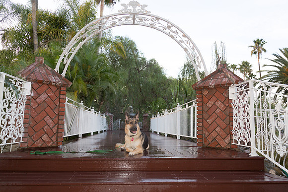 _I1A6712