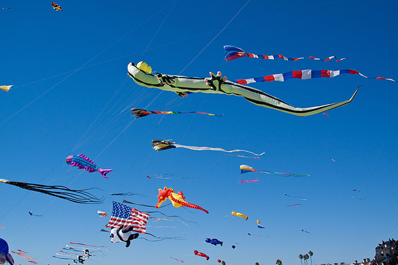 Show Kites 1
