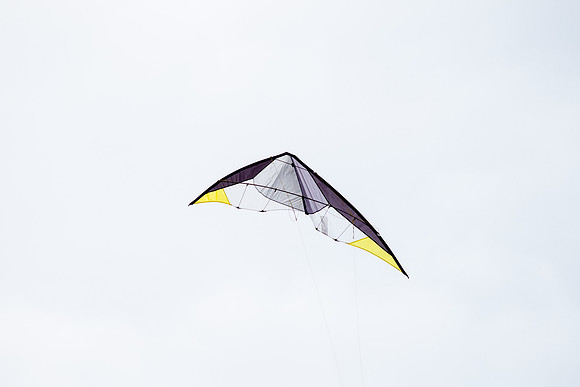 _55B0247