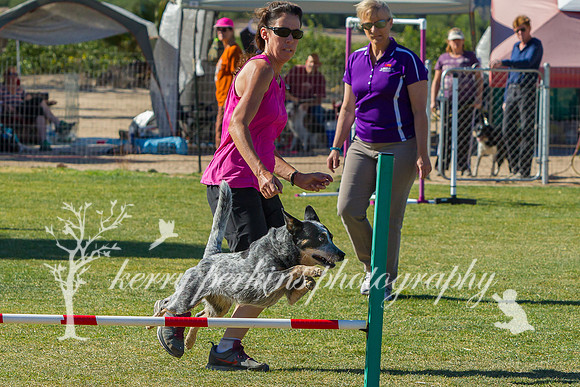 image304