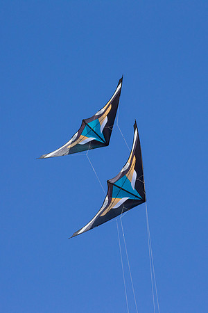 _55B0729