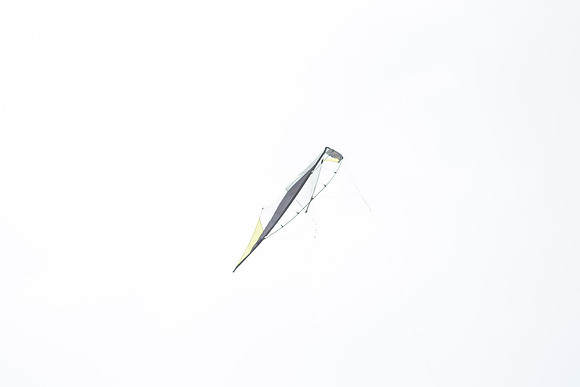 _55B0246