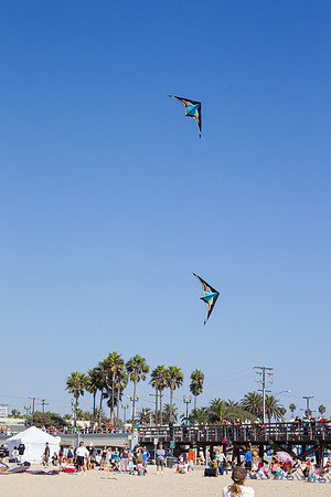 _55B0733
