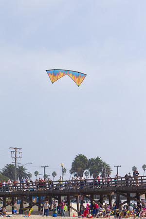 _55B0245