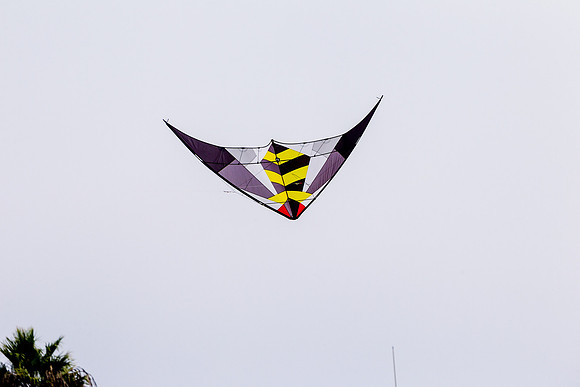 _55B0222