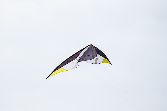 _55B0248