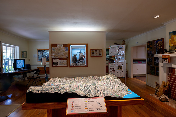 _95A8271-Edit