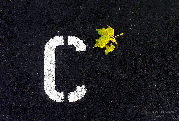 c-leaf01b