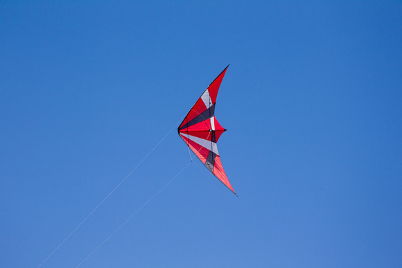 _55B0349